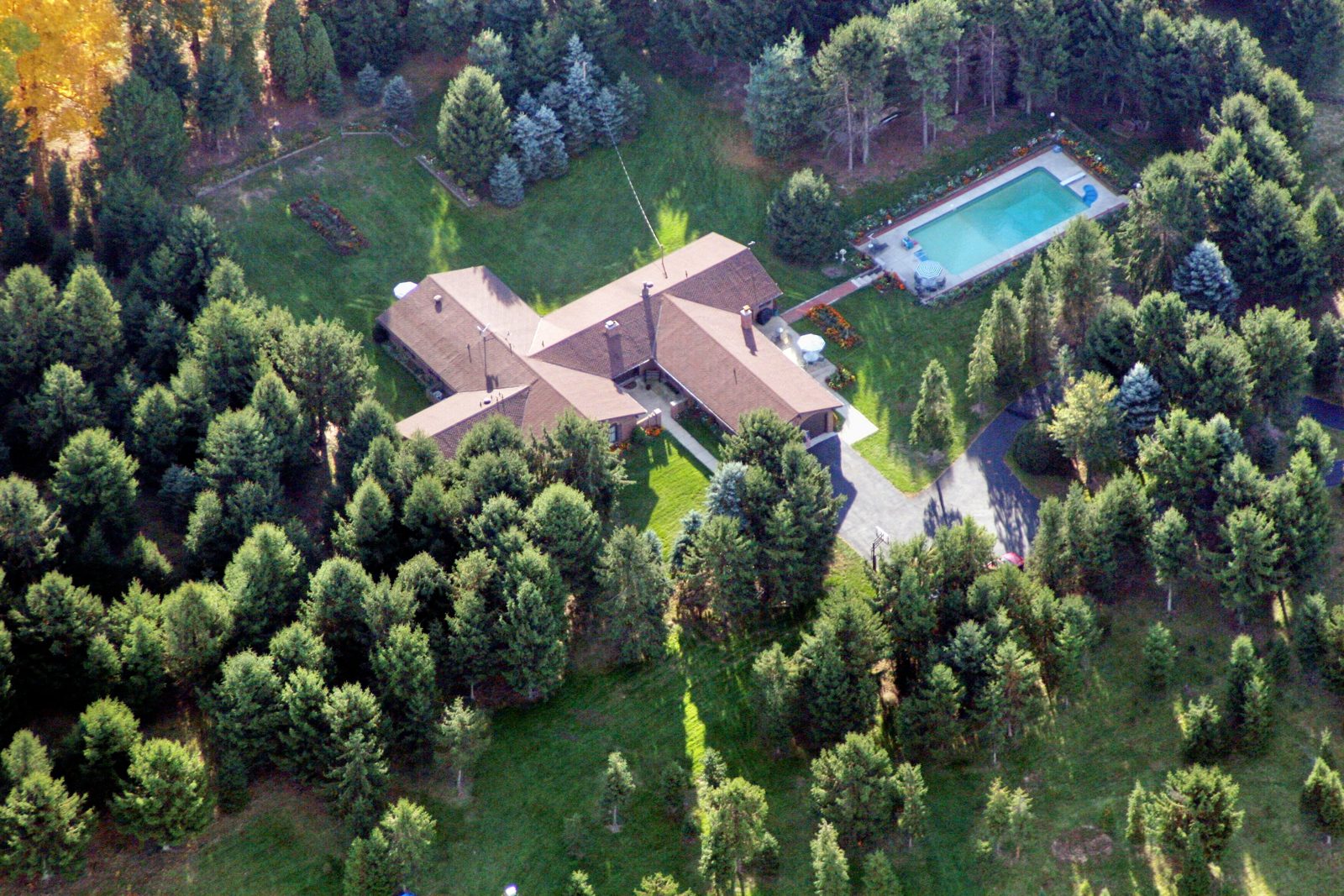 Aerial view of tree rows at Hickory Ridge Tree Farm