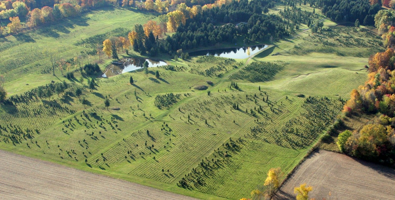 Scenic overhead farm view