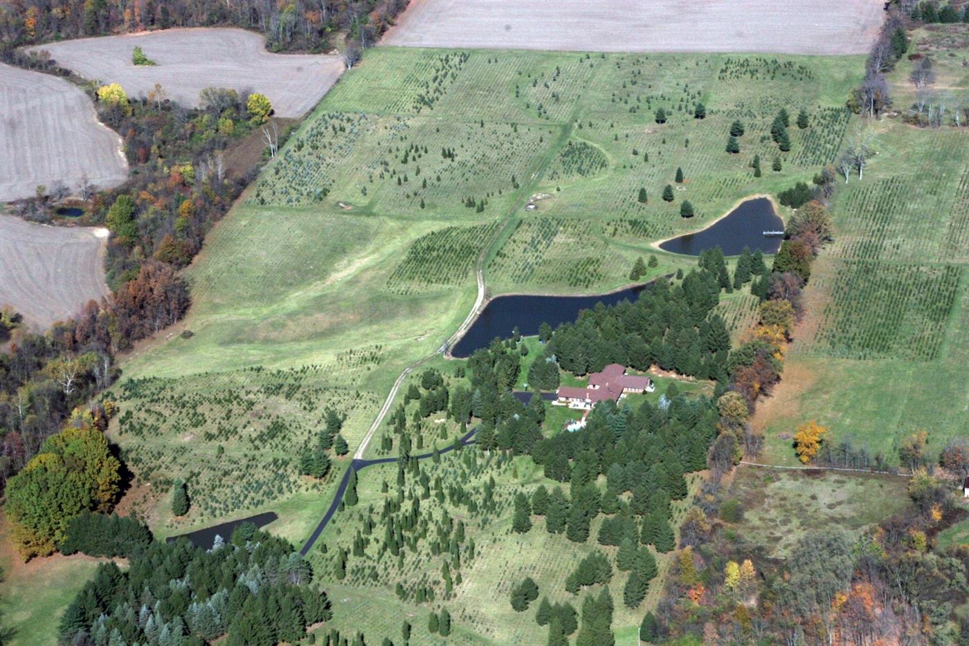 Aerial panorama of Hickory Ridge Tree Farm